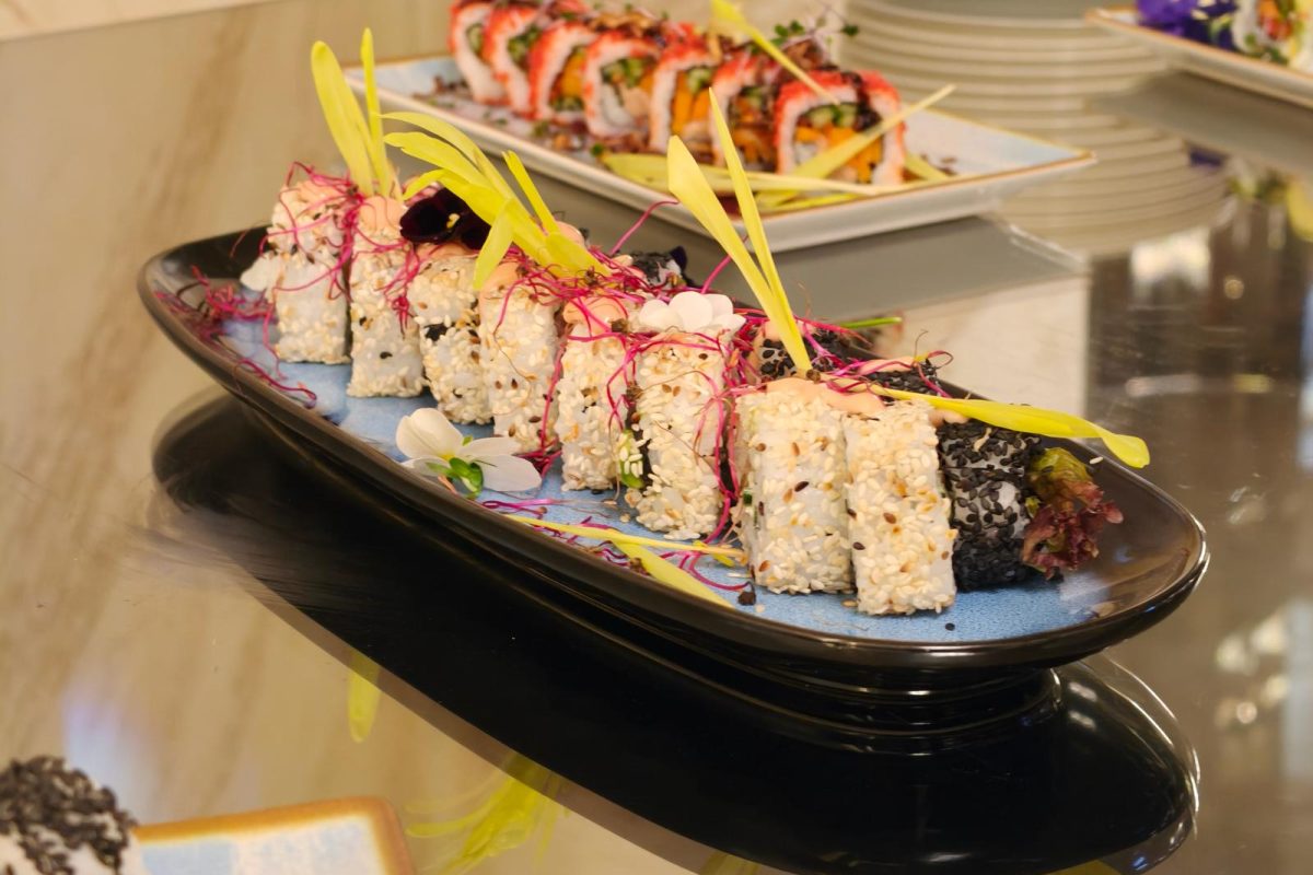 WhatsApp Image 2026-03-01 at 00.03.44